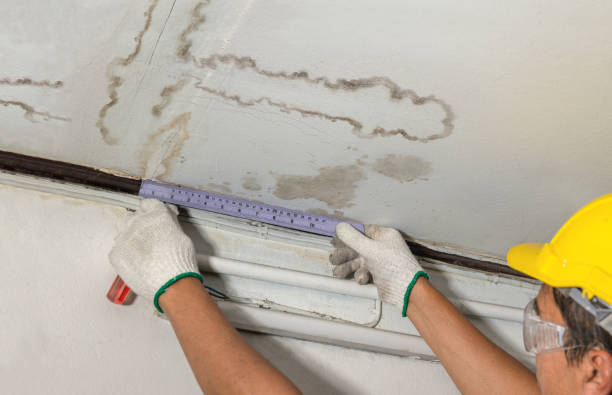Reliable Mold Remediation contractor in Holmesville, OH by Water Damage Irwin